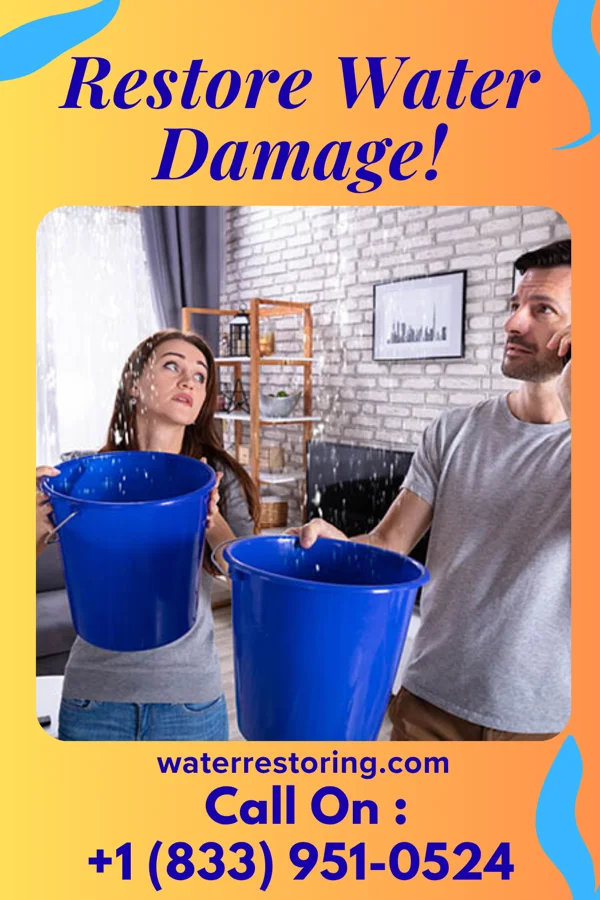 water restoration Elite Water Damage Team Bay Shore